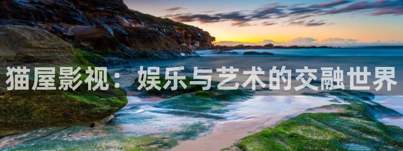 动漫伦理视频：猫屋影视：娱乐与艺术的交融世界