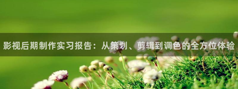 伦理视频免费网站