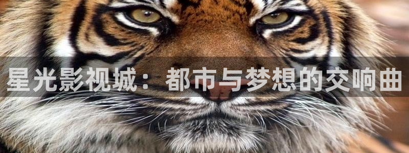 秋霞伦理视频