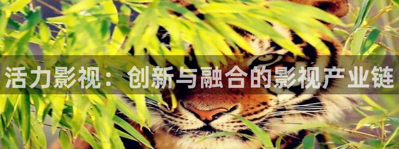 秋霞三级伦理影院