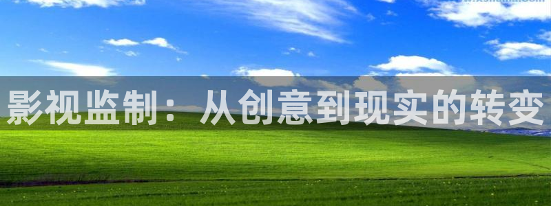 伦理影片欧美