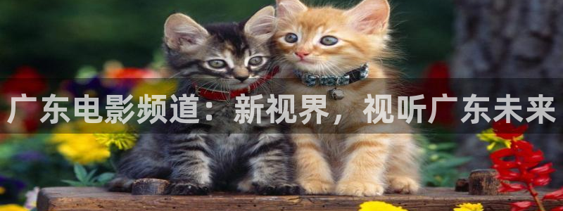 理论伦理影院