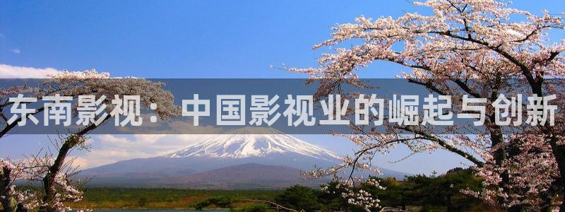 伦理影院电影
