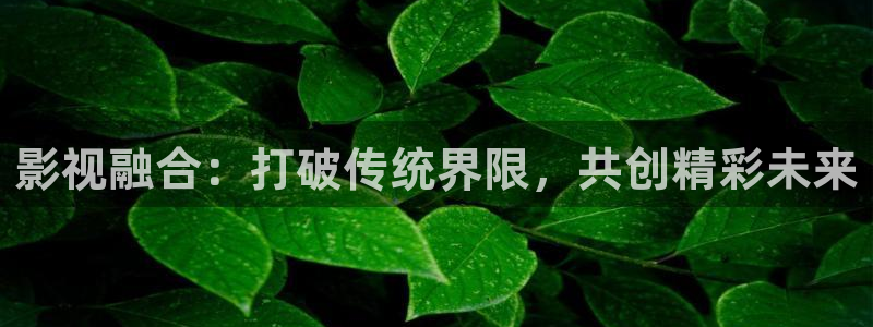 l伦理视频