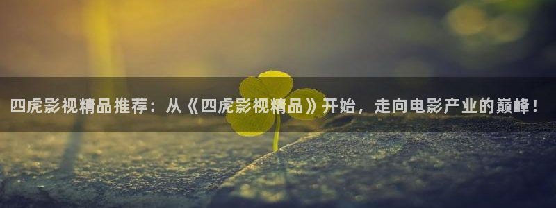 2017伦理影片