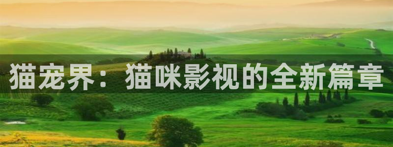 伦理影视在线观看