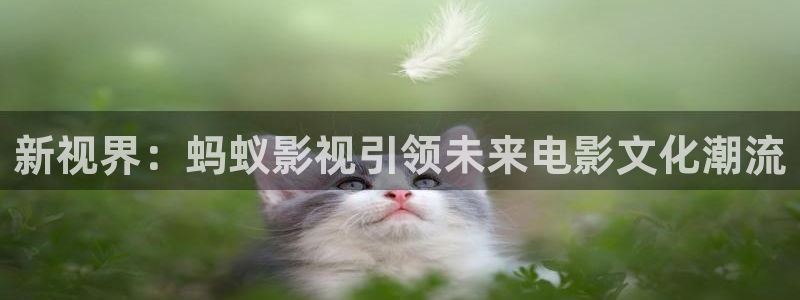韩国电影伦理视频：新视界：蚂蚁影视引领未来电影文化潮流