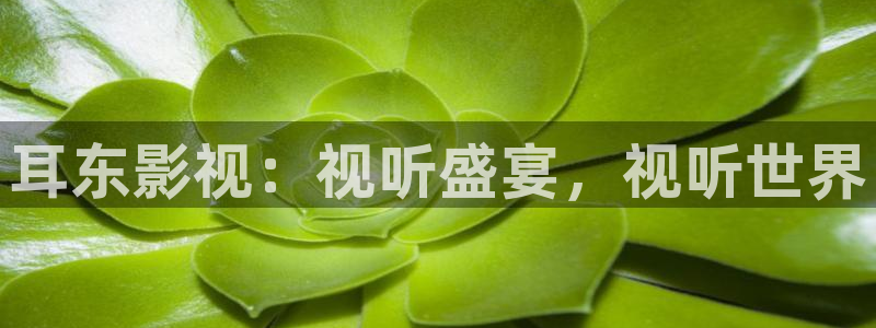 第一伦理影院：耳东影视：视听盛宴，视听世界