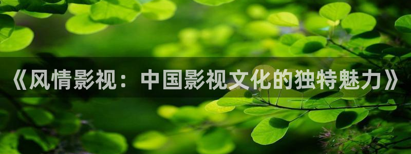 51伦理影院：《风情影视：中国影视文化的独特魅力》