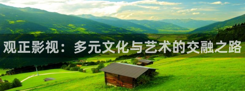 伦理影院免费观看电影：观正影视：多元文化与艺术的交融之路