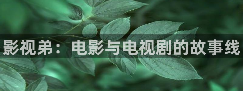 91伦理视频在线：影视弟：电影与电视剧的故事线